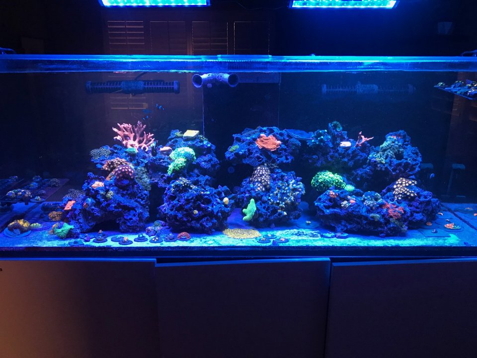 image15.jpeg
