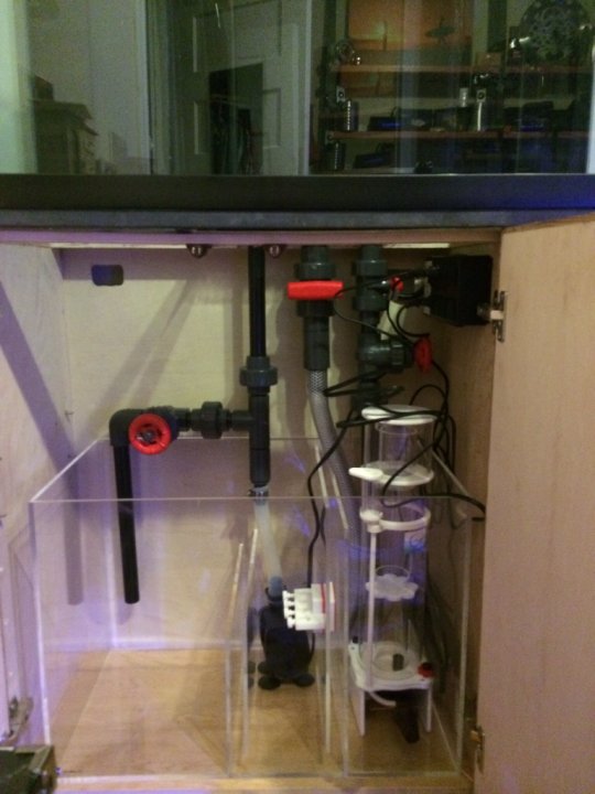 ImageUploadedByTapatalk1409877225.813381.jpg