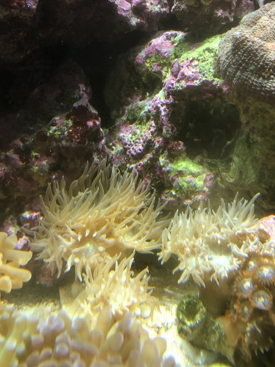 IMG-1411.JPG