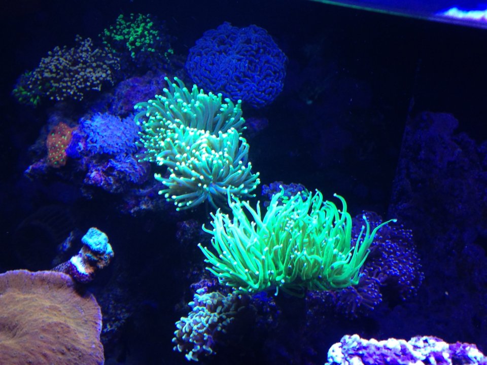 IMG_0034.JPG