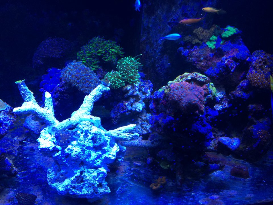 IMG_0056.JPG