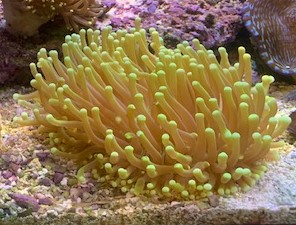 IMG_0183.jpeg