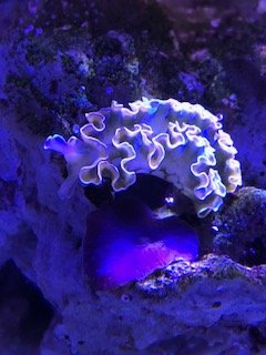 IMG_0358.jpg