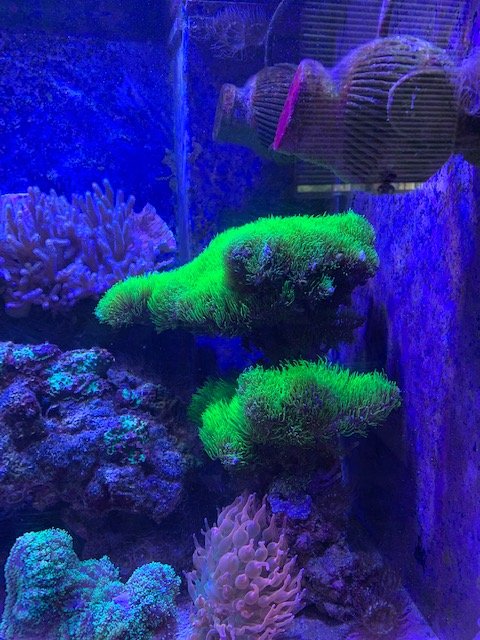 IMG_0390.jpg