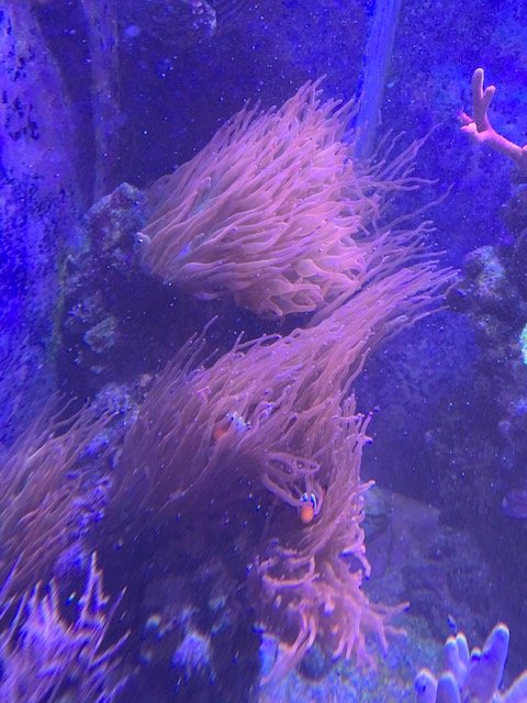 IMG_0606.jpg