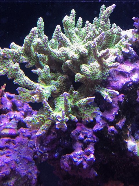 IMG_0827.jpg