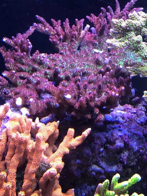 IMG_1002.jpg