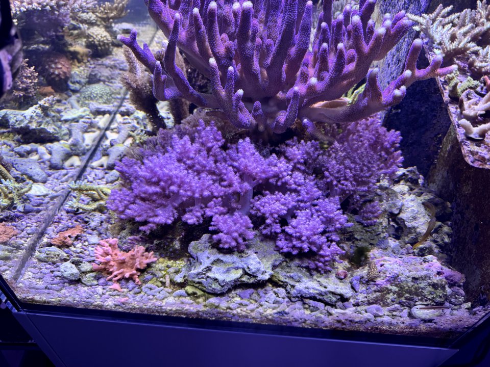 IMG_1054.jpeg