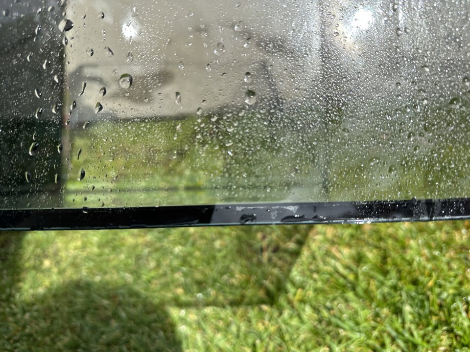 IMG_1687.jpeg