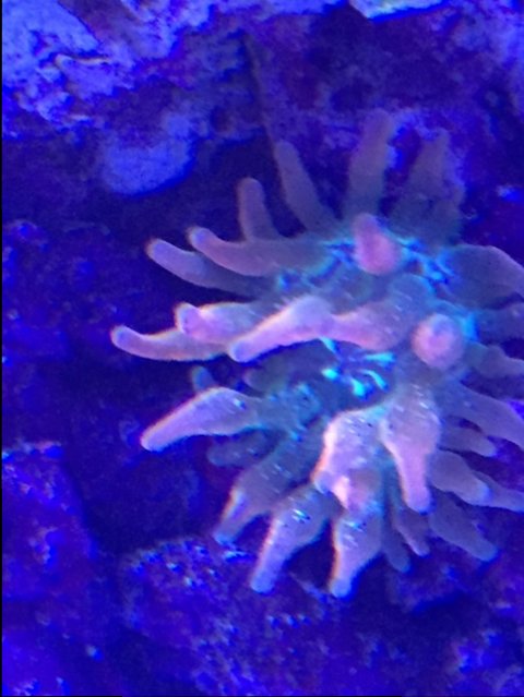 IMG_1892.JPG