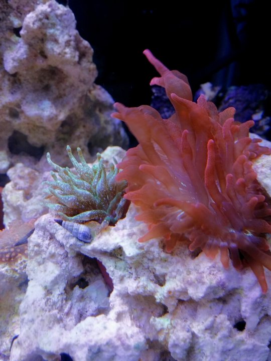 IMG_20131009_202803.jpg