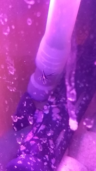 IMG_20171021_100858449.jpg