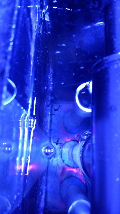 IMG_20171226_113409135.jpg
