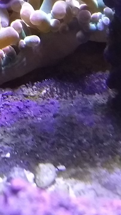 IMG_20180123_170708166.jpg