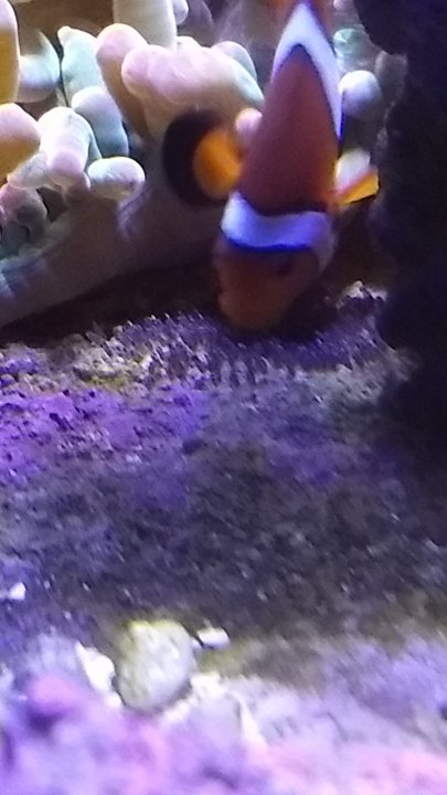 IMG_20180123_170712057.jpg