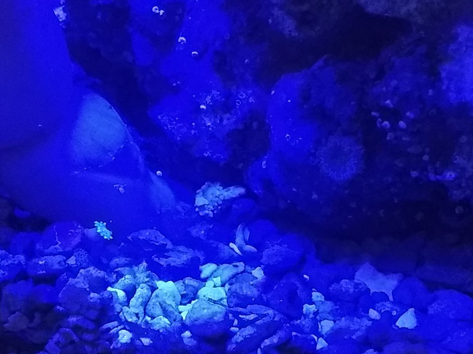 IMG_20180710_091610032.jpg