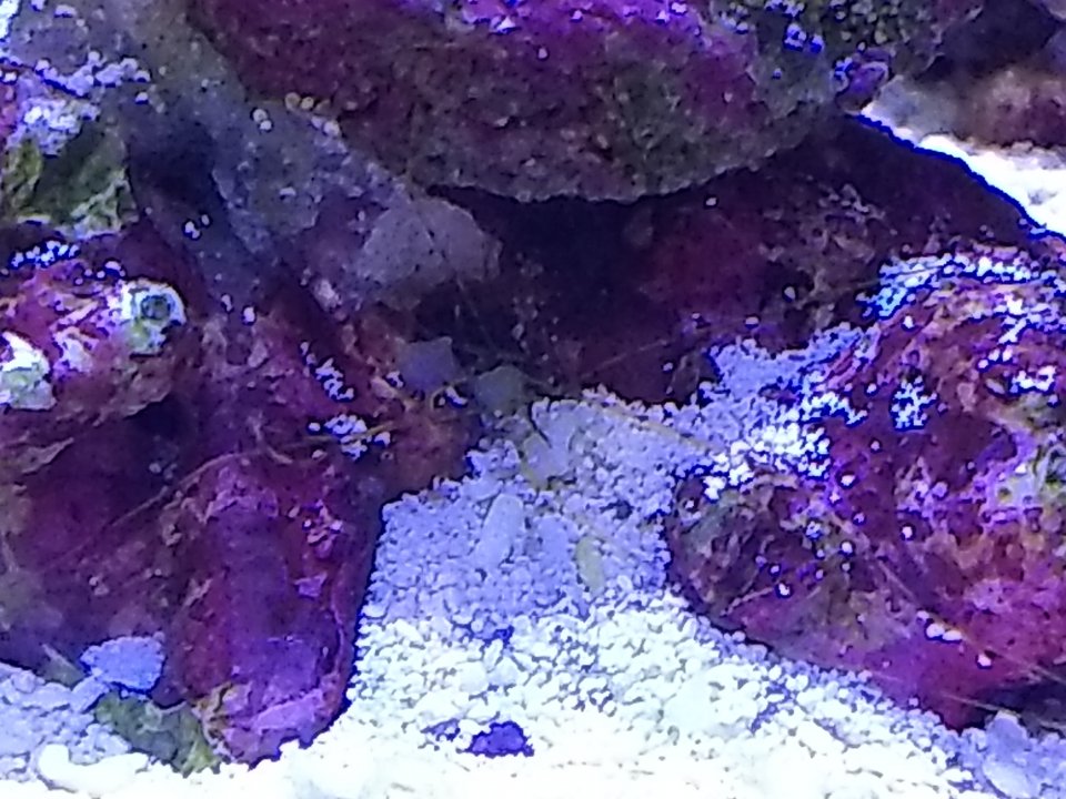 IMG_20180806_182114460.jpg