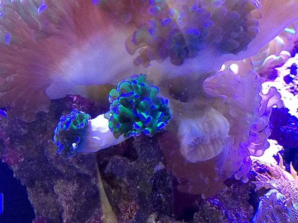 IMG_20181102_163441094.jpg