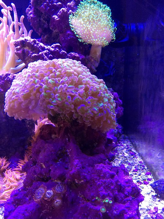 IMG_20190807_134412241.jpg