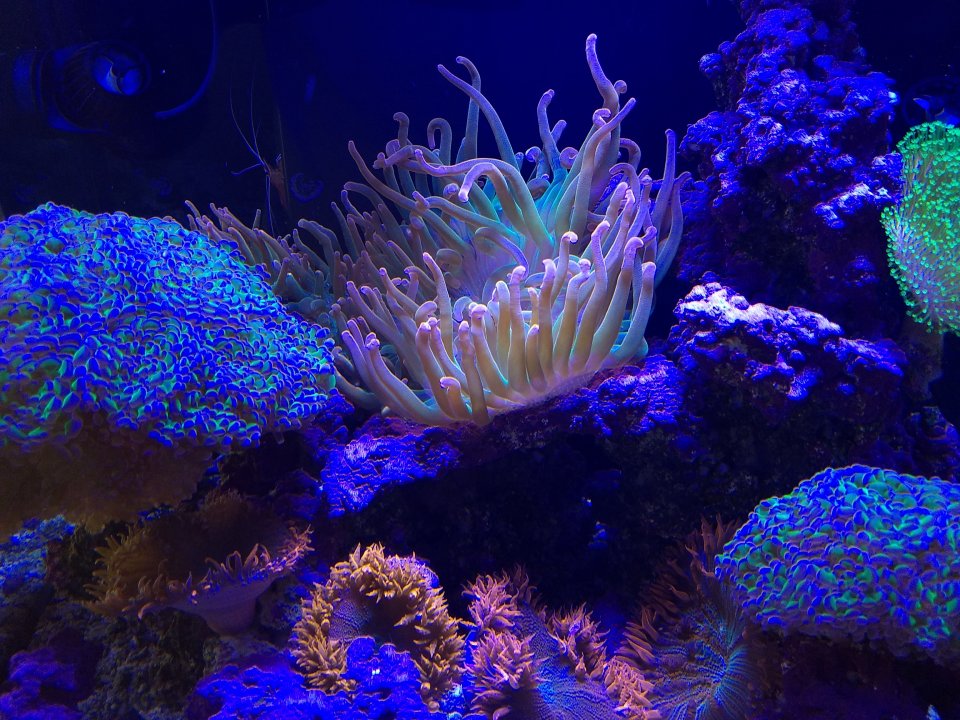 IMG_20190807_134503962.jpg
