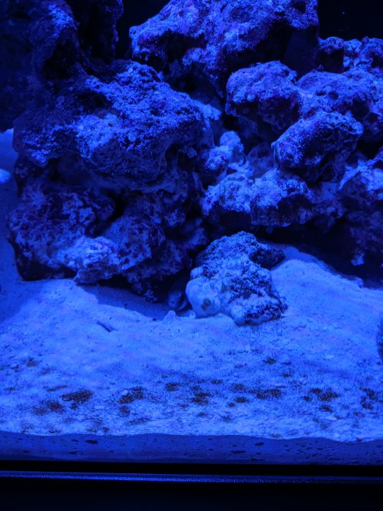 IMG_20200305_174656.jpg