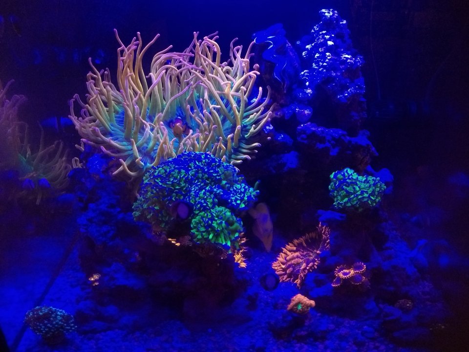 IMG_20200430_191747843.jpg