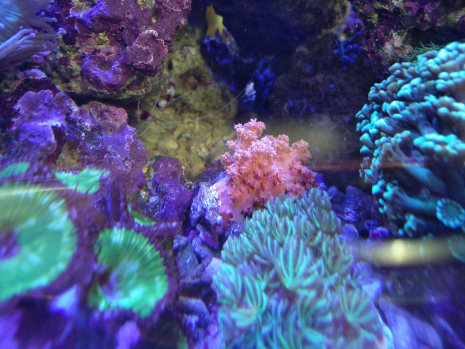 IMG_20211008_111512.jpg
