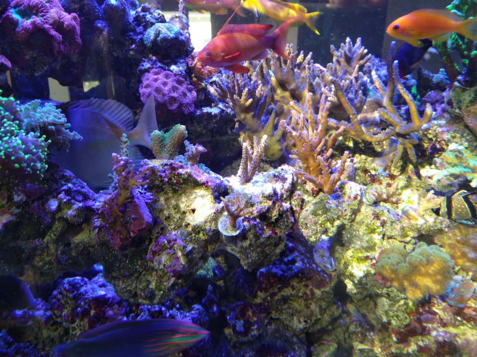 IMG_20211008_111538.jpg