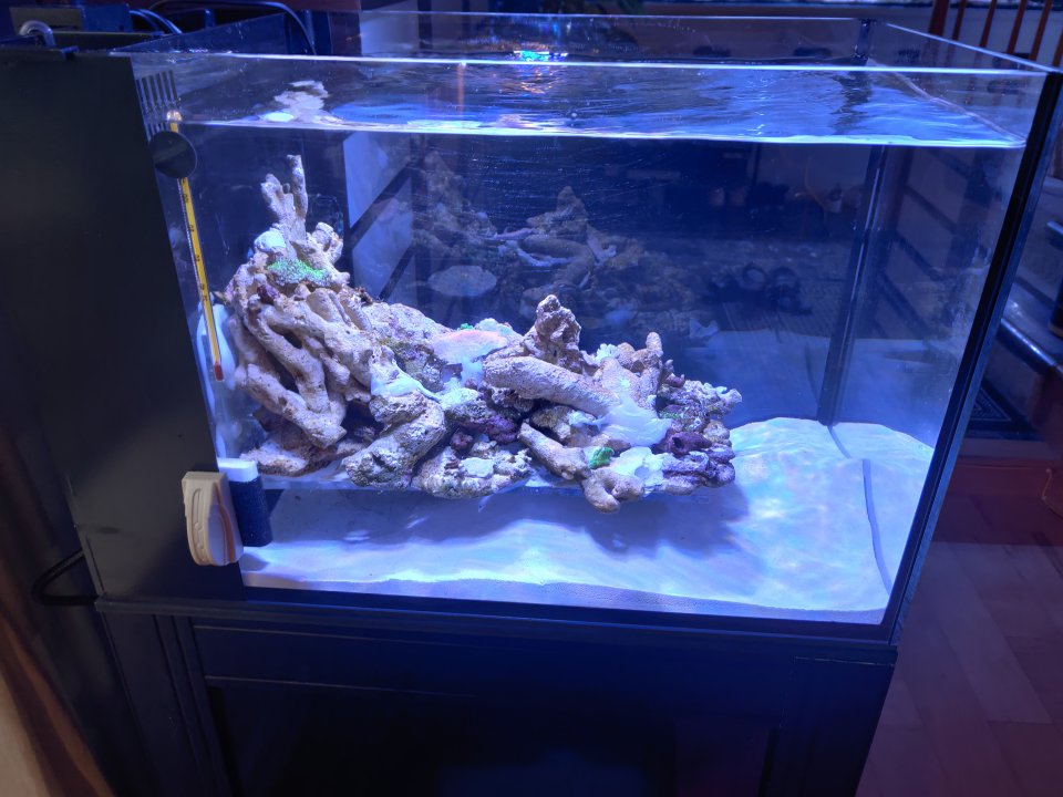IMG_20211116_080525.jpg