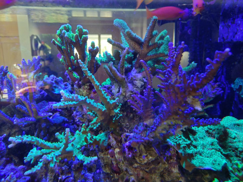 IMG_20211121_094159.jpg