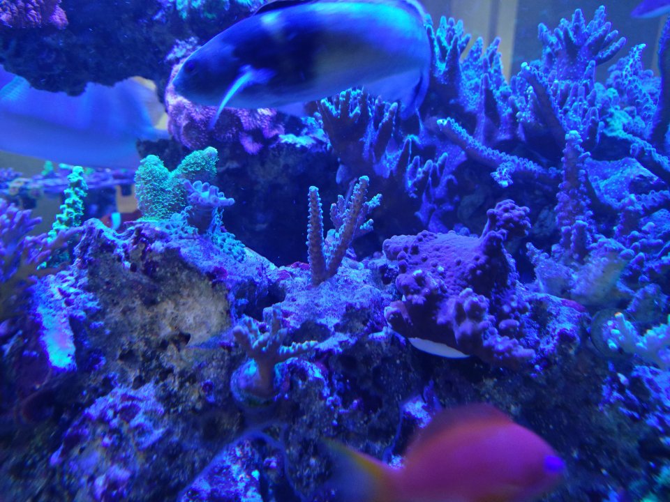 IMG_20211121_120146.jpg