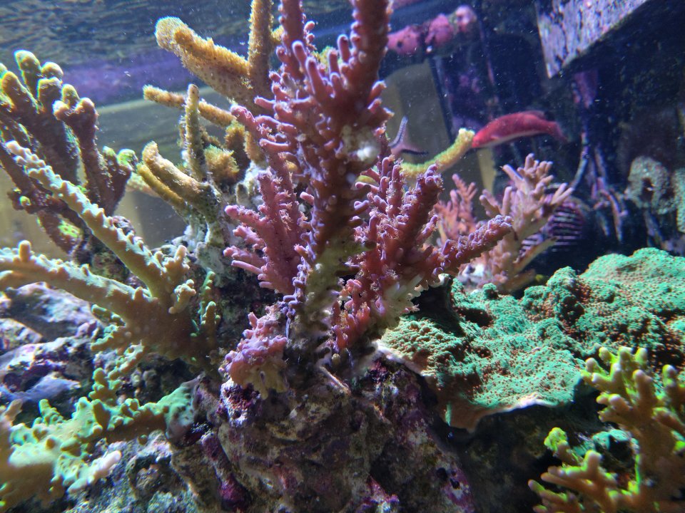 IMG_20211121_120423.jpg