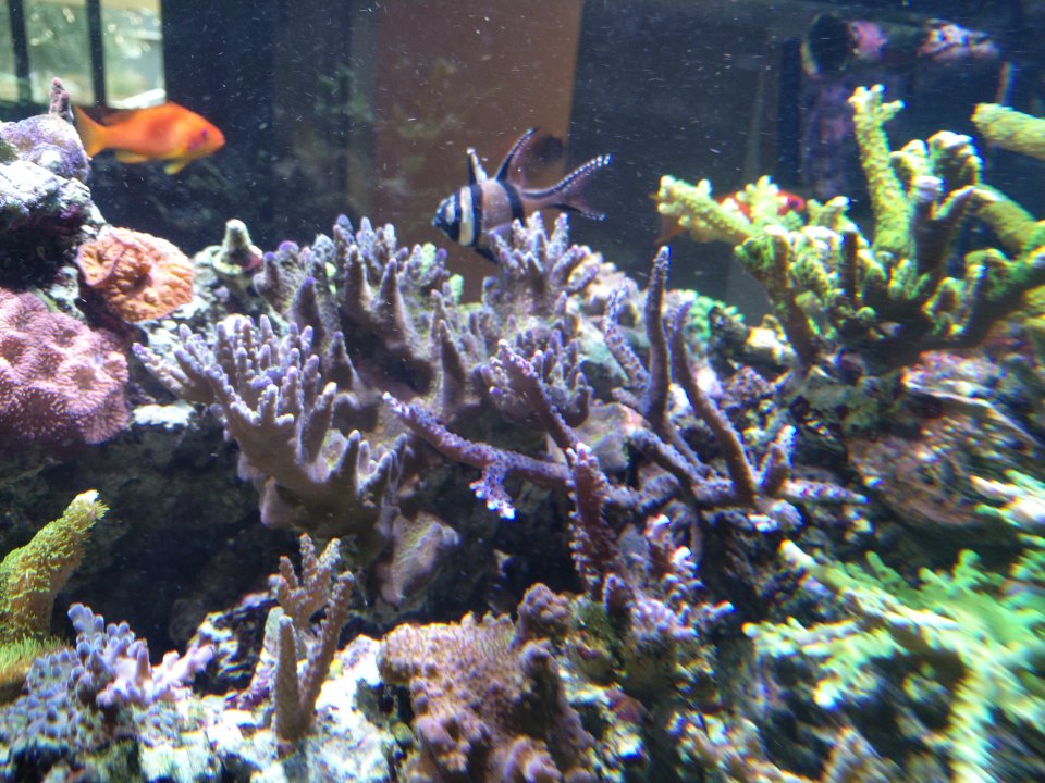 IMG_20220104_160903.jpg