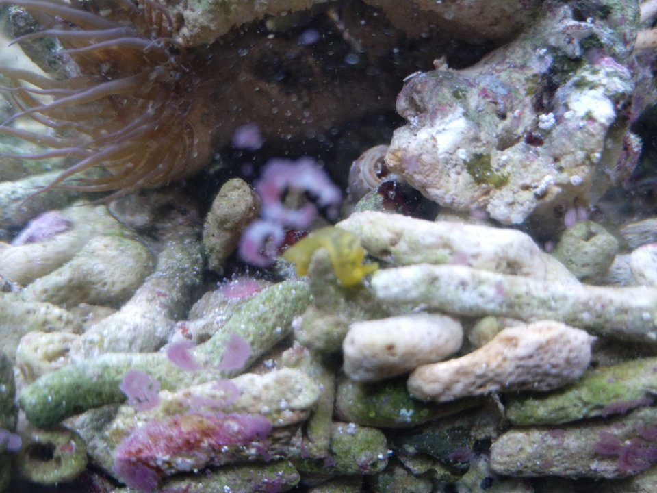 IMG_20220106_160306.jpg