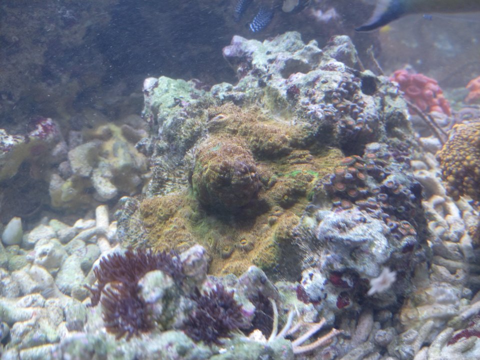 IMG_20220106_163554.jpg