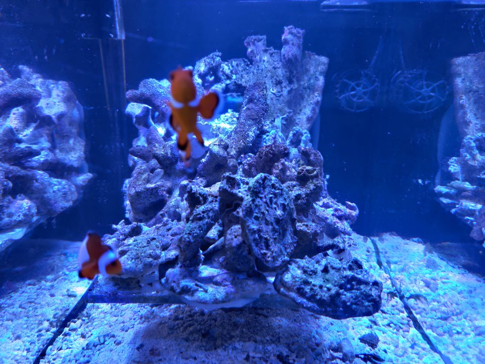 IMG_20220108_102747.jpg