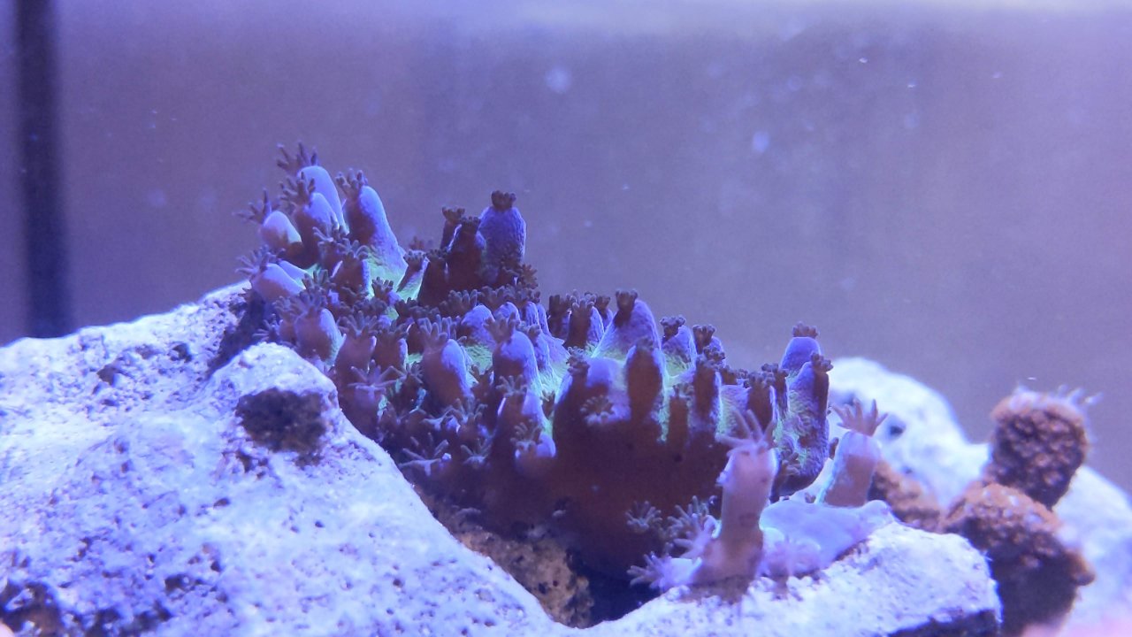 IMG_20220117_181444.jpg