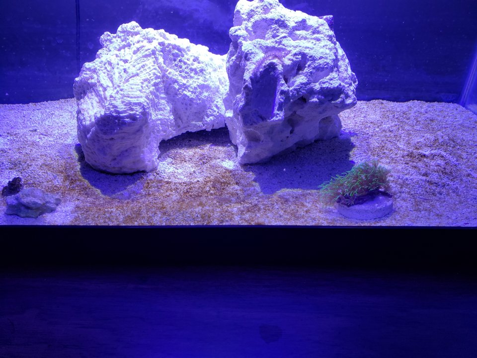IMG_20220121_201451.jpg
