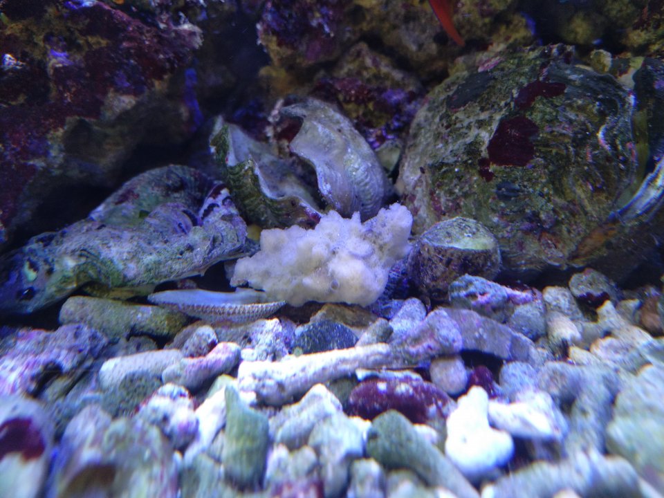IMG_20220301_110300.jpg