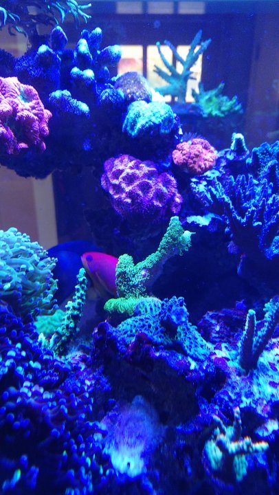 IMG_20220402_183617_01.jpg