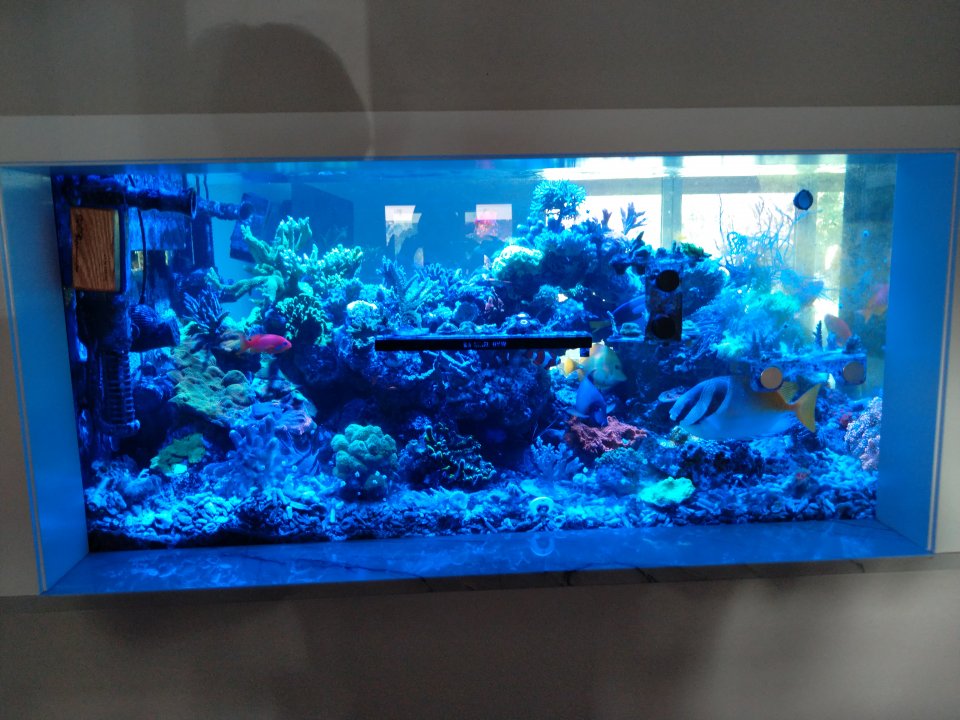 IMG_20220406_180236.jpg
