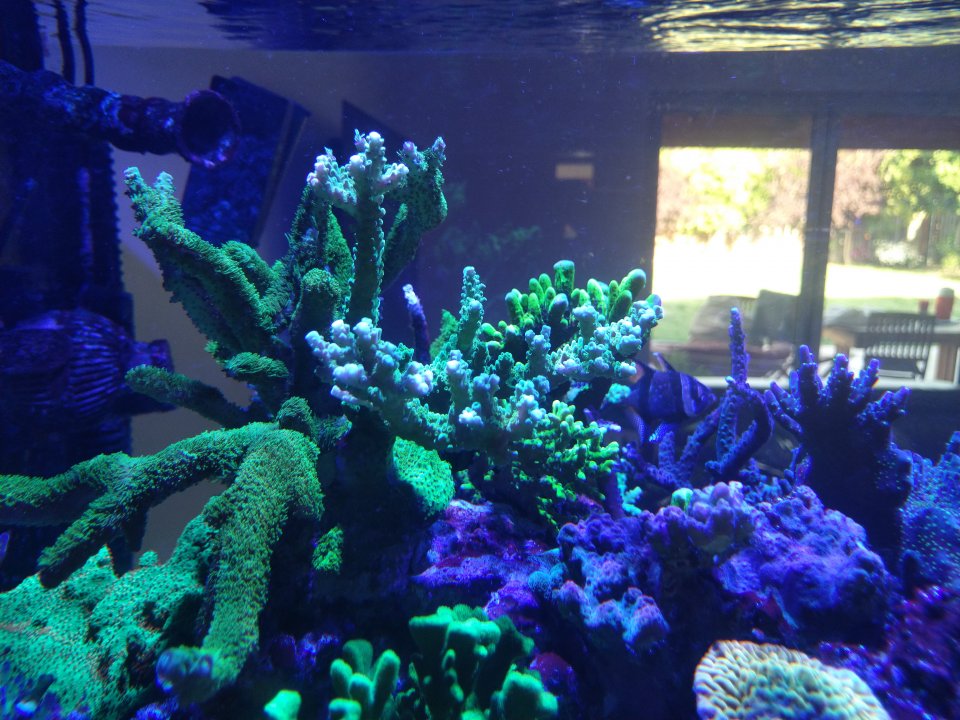 IMG_20220406_180247.jpg