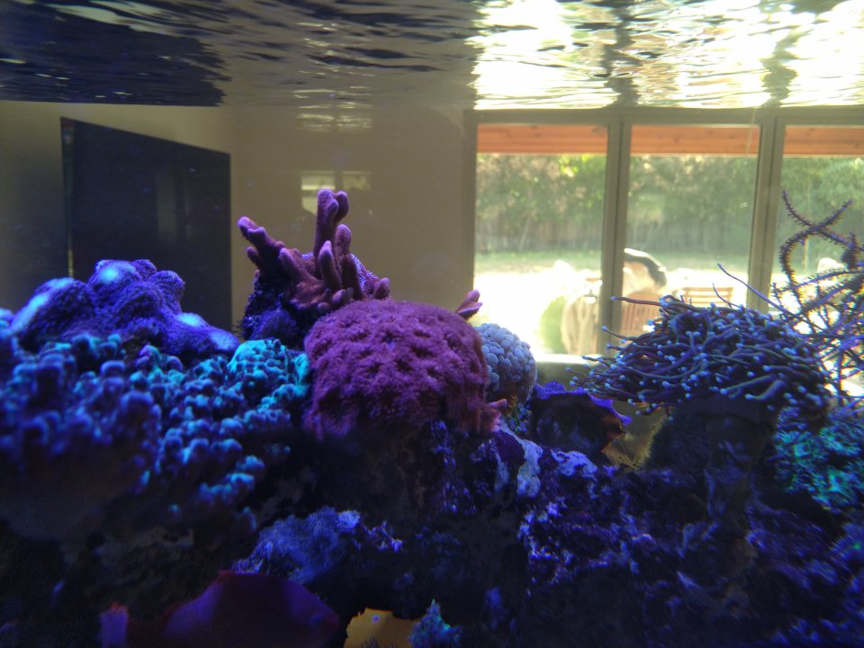 IMG_20220909_094143.jpg
