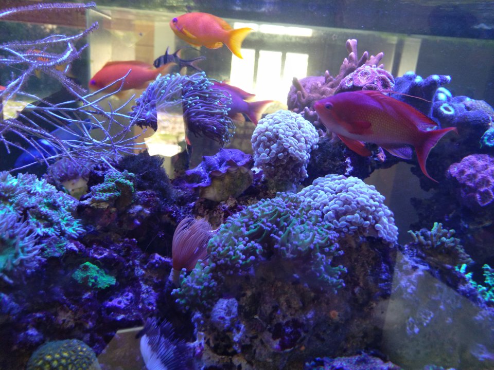 IMG_20220909_094155.jpg
