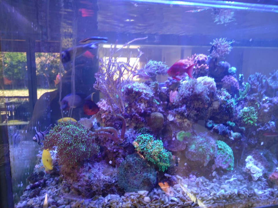 IMG_20220914_133901.jpg