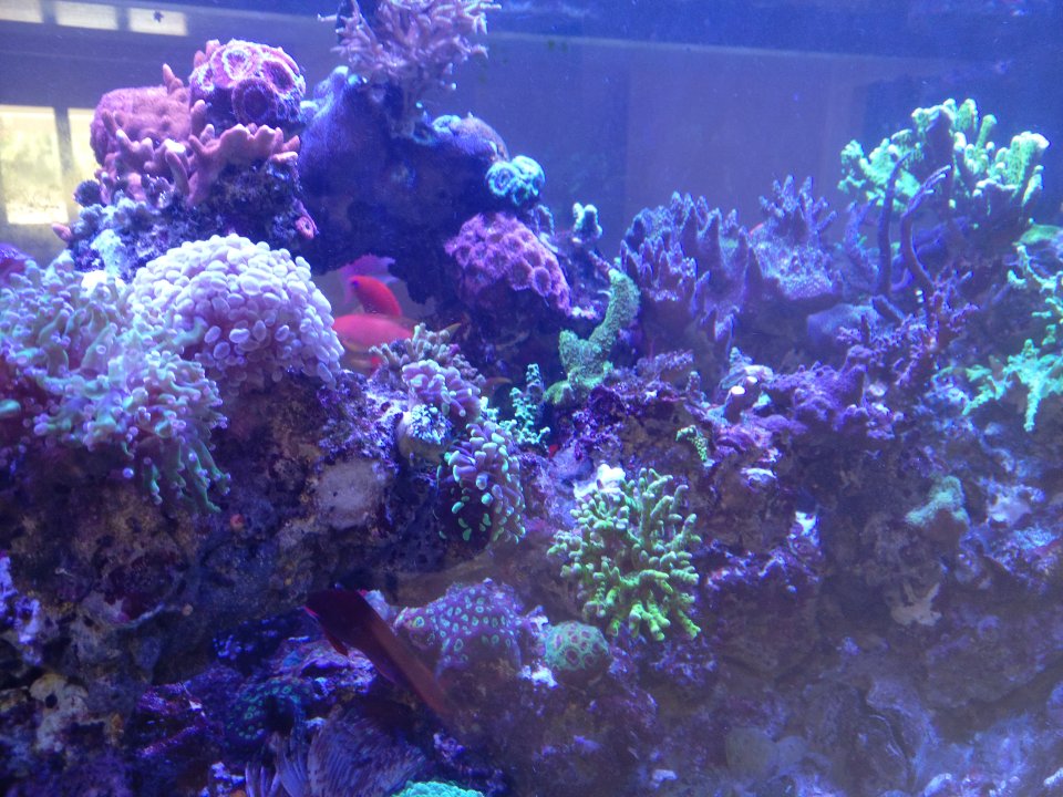 IMG_20220914_133932.jpg
