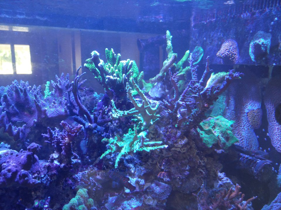 IMG_20220914_133942.jpg