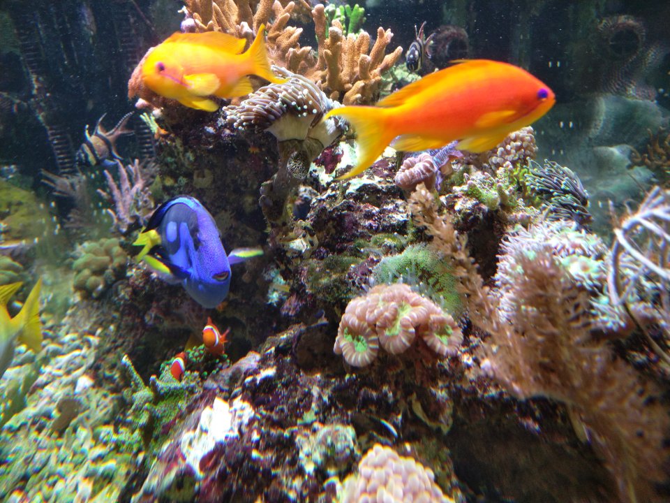 IMG_20221221_092205.jpg