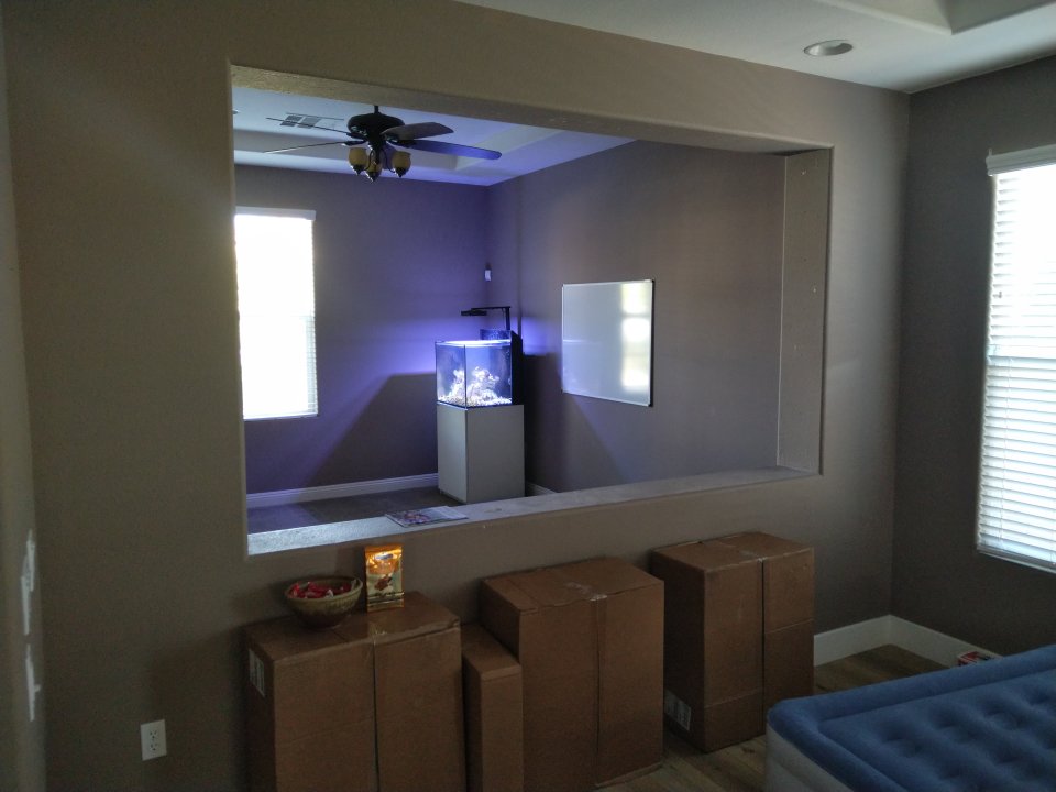 IMG_20231101_155644.jpg
