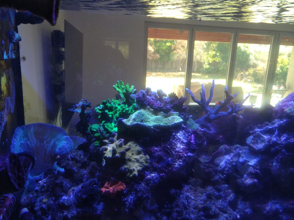 IMG_20231222_111742.jpg